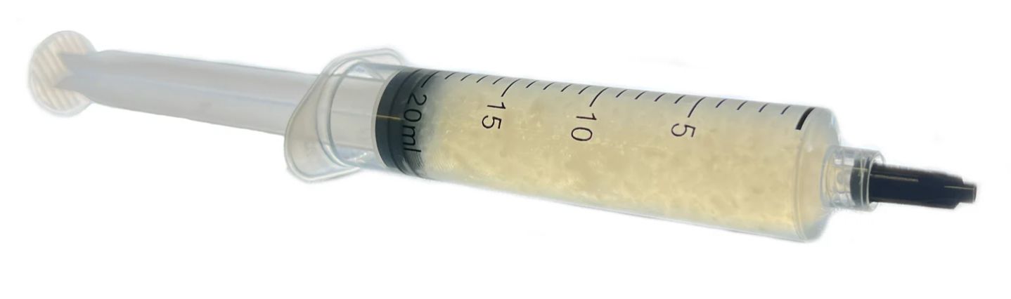 Mycelium v živném roztoku - LC