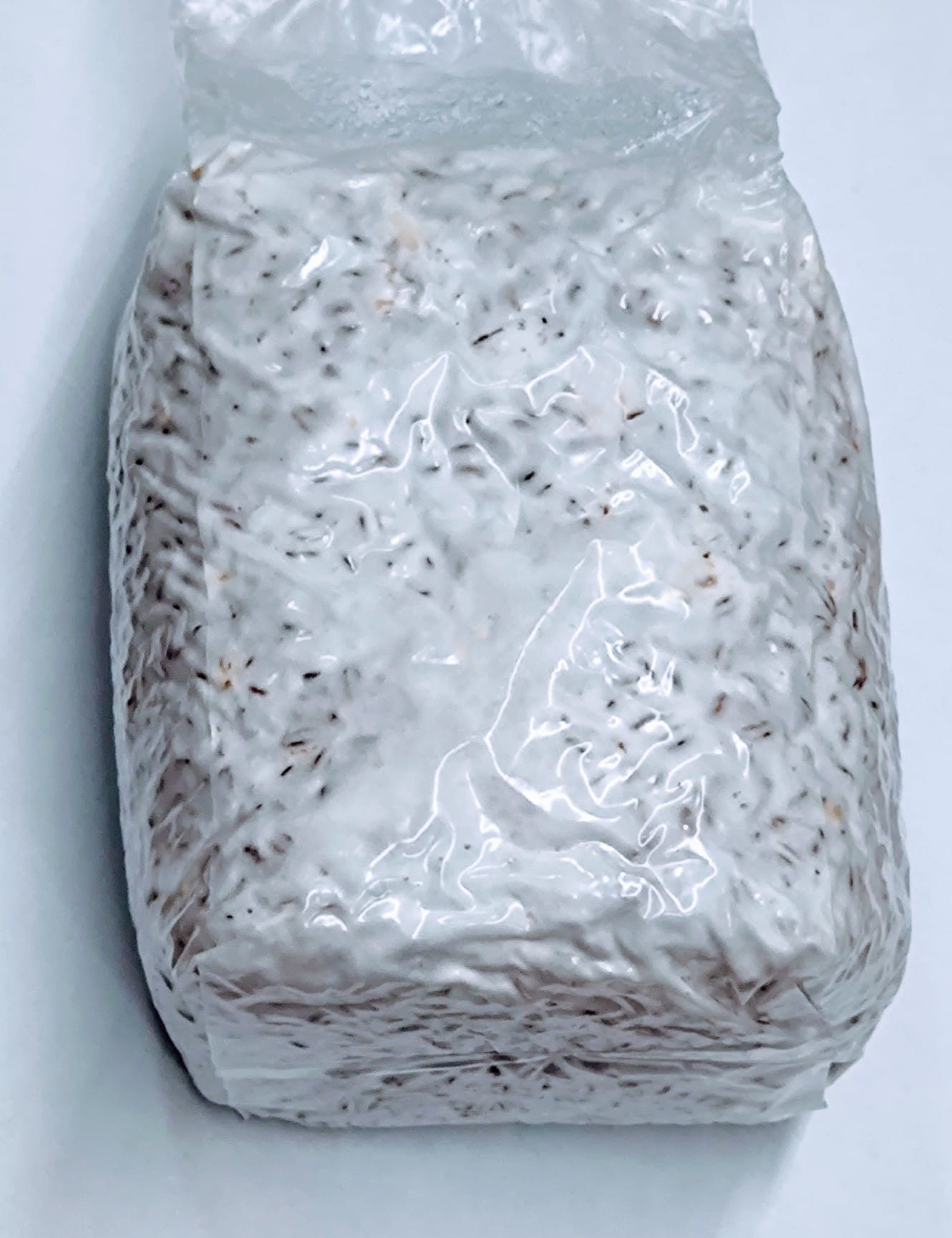 Podhoubí na zrnu - znitá sadba hub