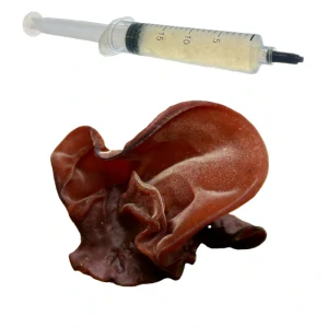 Ucho Jidášovo - (Auricularia auricula - judae) podhoubí - tekuté mycelium - LC 10ml