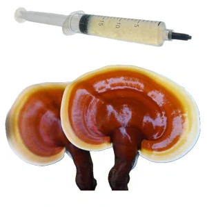 Lesklokorka lesklá, Reishi - (Ganoderma lucidum) podhoubí - tekuté mycelium - LC 10ml