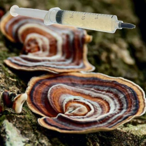 Outkovka pestrá - (Trametes versicolor) podhoubí - tekuté mycelium - LC 10ml