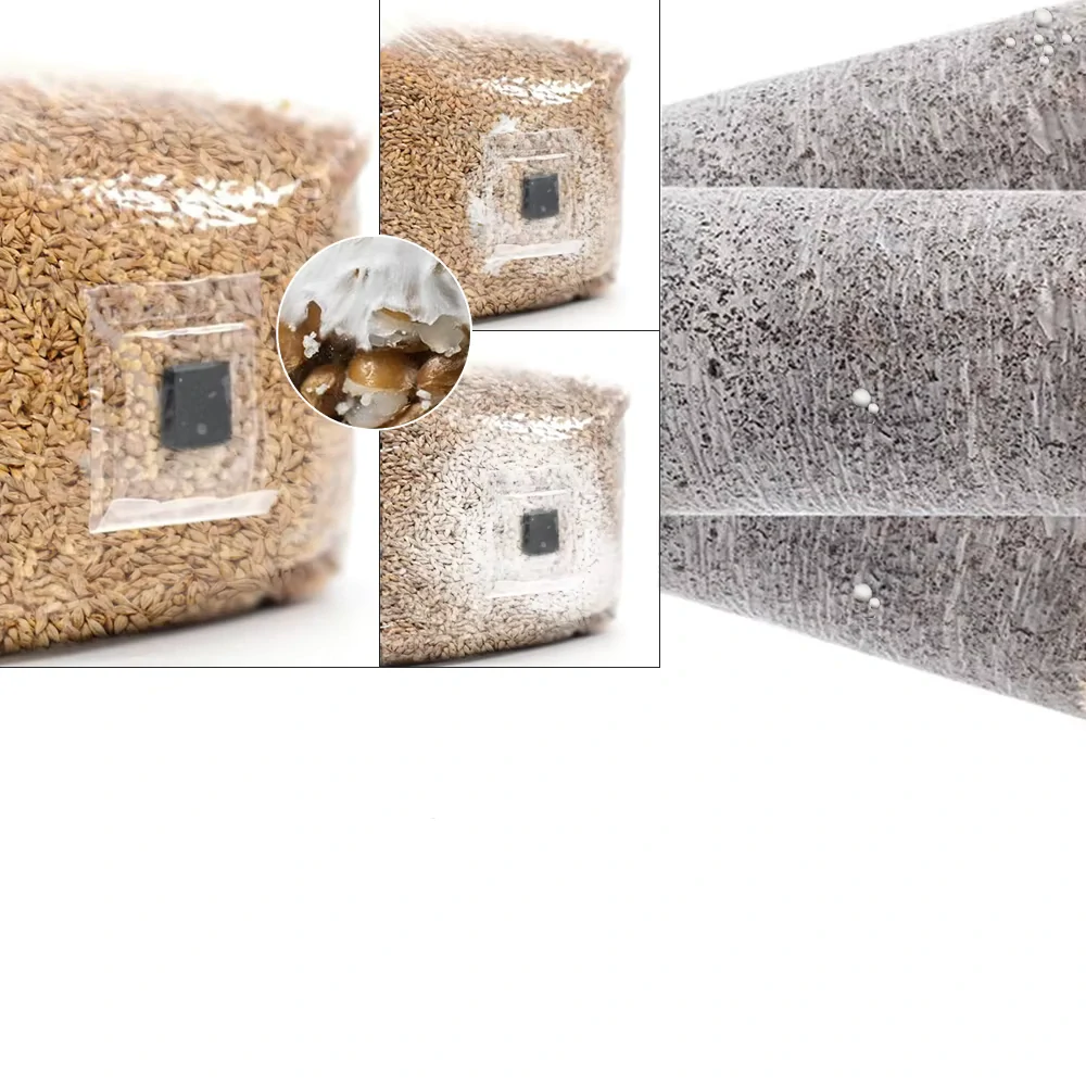 Pěstební sáček s injekčním portem a mikrofiltrem (0,2um) 18x35cm