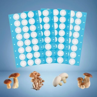 Samolepicí mikrofiltr 20 mm / 0.25μm - 24ks - 1 arch