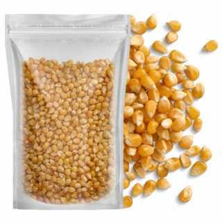 Kukuřice popkornová (popcorn kukuřice)